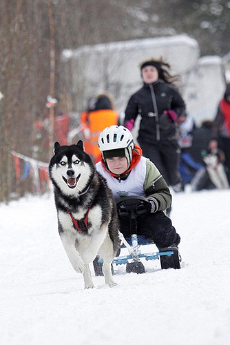 era_dog_prize3.jpg era_dog_prize3.jpg