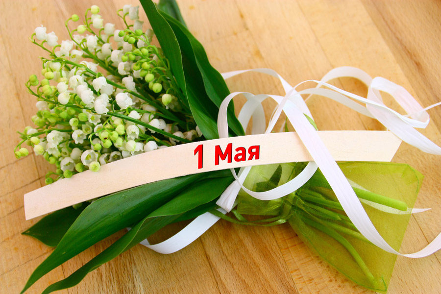 Компания S3 поздравляет с праздником Весны и Труда