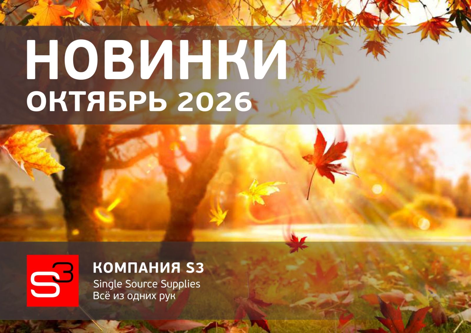 Каталог новинок — октябрь 2026