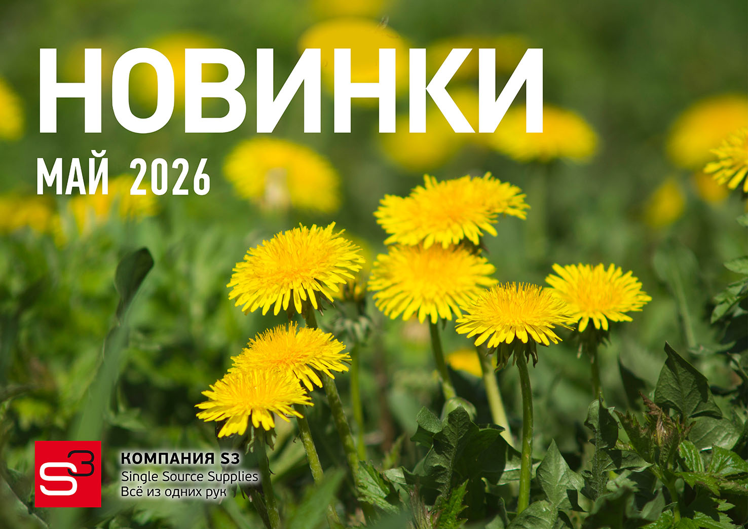 Каталог новинок май 2026!