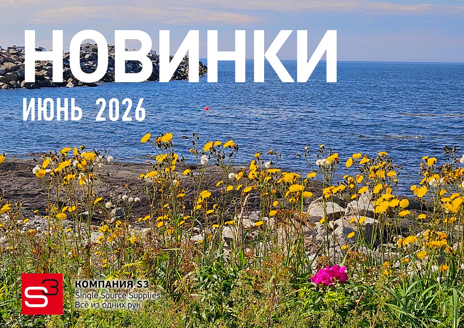 Каталог новинок на июнь 2026!