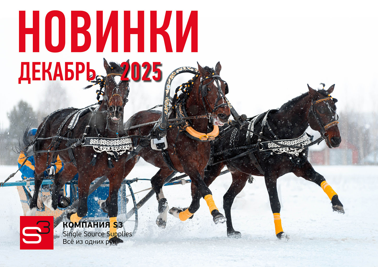 Каталог новинок декабрь