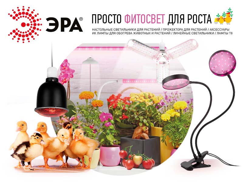 Лампы и светильники ЭРА для растений и животных: главные новинки сезона!