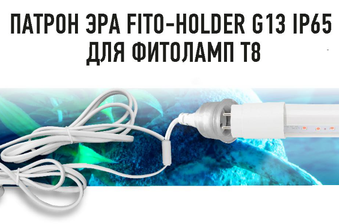 Патрон для фитосветильников ЭРА FITO HOLDER теперь и под лампу G13