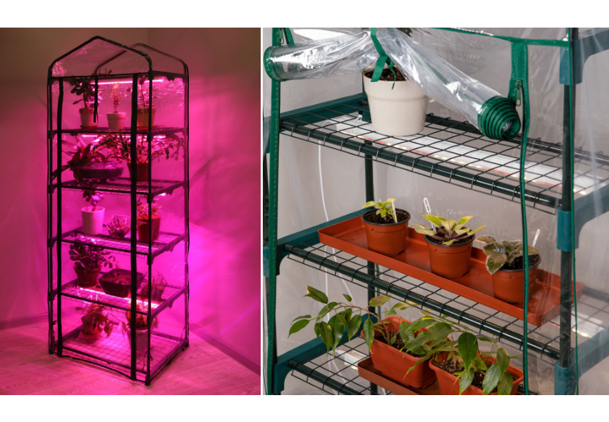 LED-теплицы ЭРА FITO-House для выращивания растений в любой сезон!