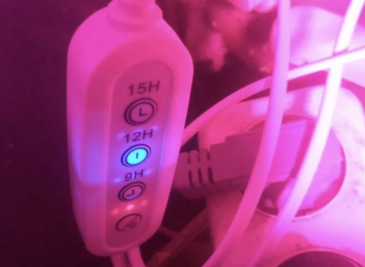 Разветвители ЭРА для подключения фитосветильников — отзывы пользователей