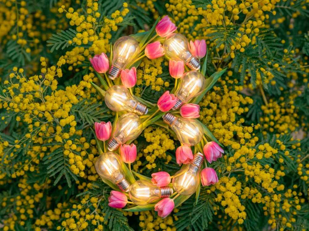 Поздравляем с наступающим Международным женским днём!