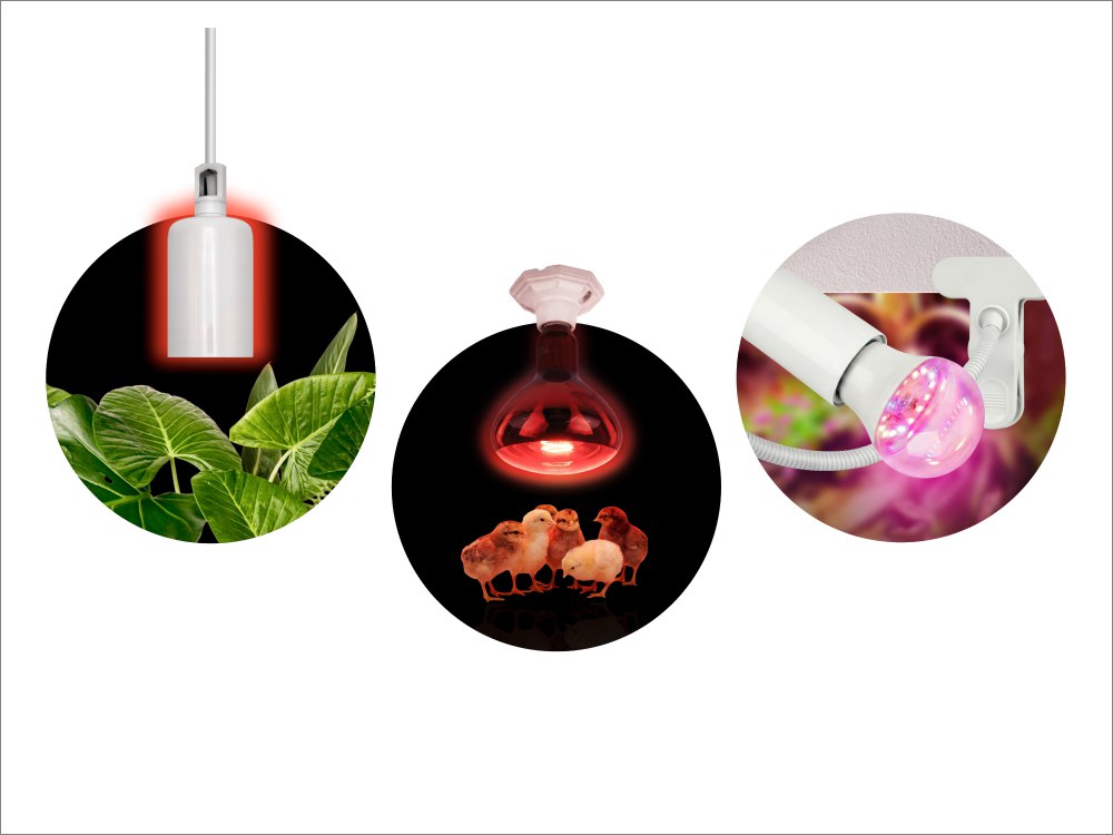 Новая линейка светильников ЭРА с керамическим патроном Е27 — для нагревательных ламп