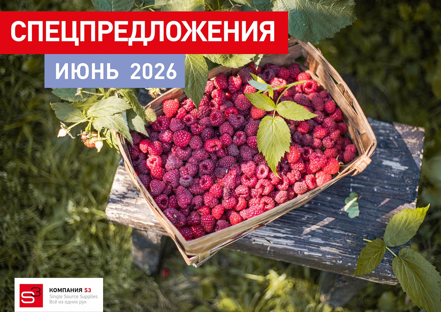 Каталог специальных предложений на июнь 2026!